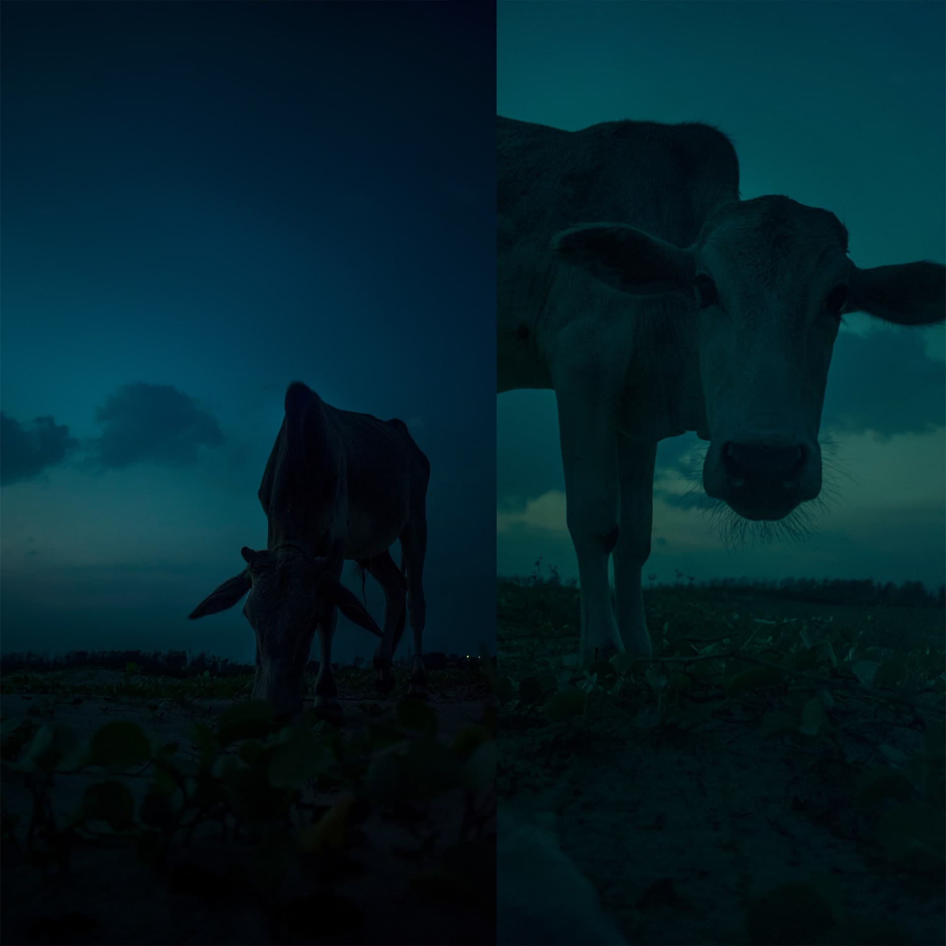 Next.js Conf image